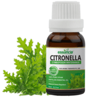  Citronella essential oil 