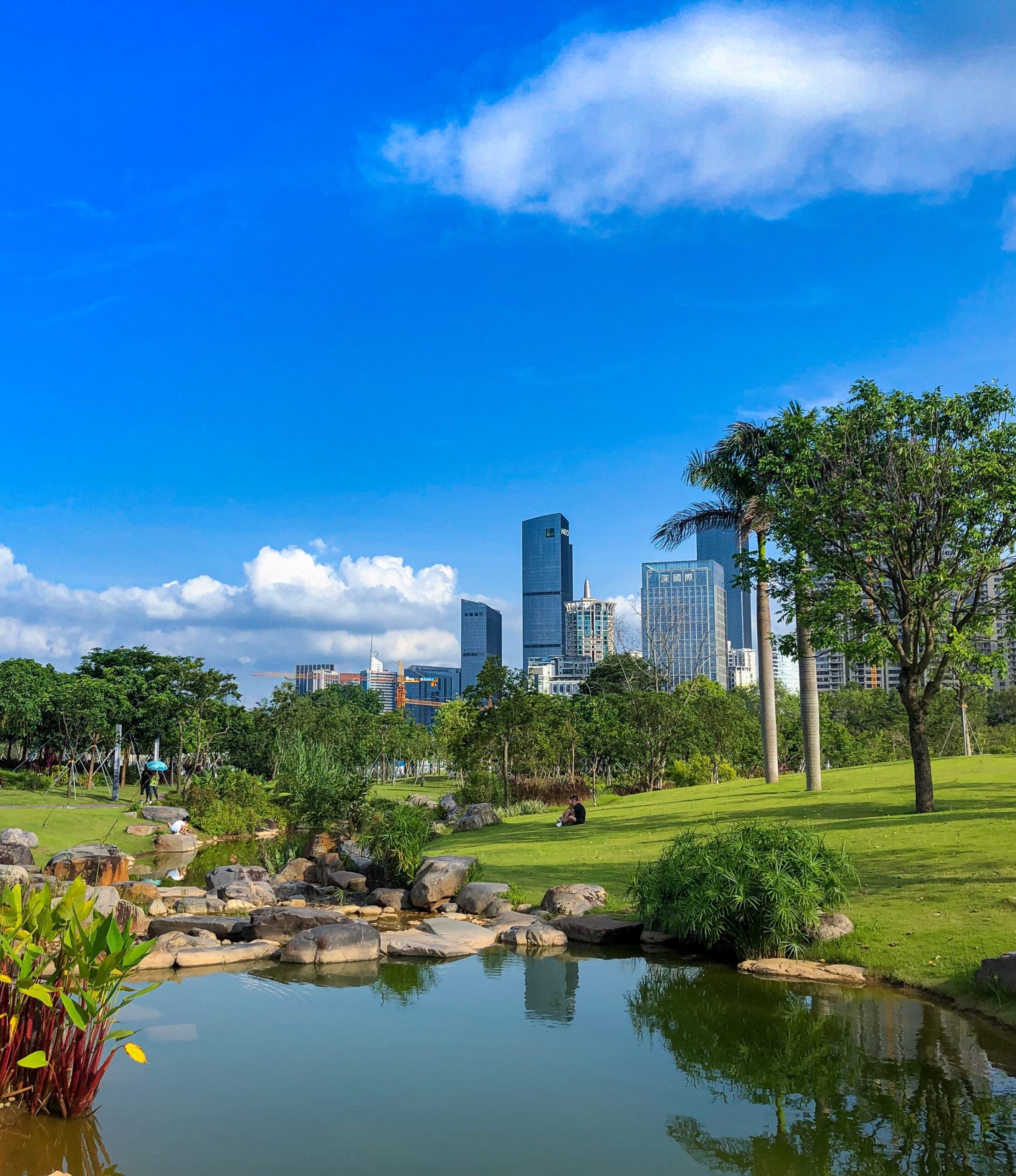 greenery and skyscrapers in a Chinese city