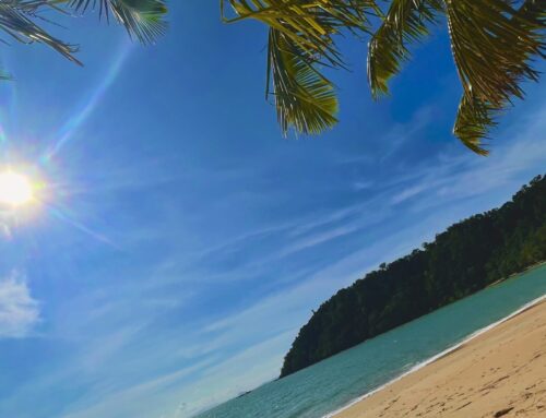 Travelling vs Teaching Abroad – What is the Better Option?